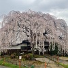 観光特急あをによし～本満寺のしだれ桜～ひかり号グリーン車で帰京 / 全国旅行支援でワーケーション(12)