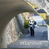 坂道の散歩で見つけた