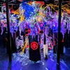 【東京旅行⑥】アートアクアリウムと家豆花in東京