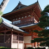 京都2014秋の特別公開をめぐる旅1―大徳寺―