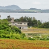 エポック石垣島車エビ養殖場の池（沖縄県石垣島）