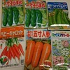 もうすぐ一年。秋の家庭菜園予定を立てなくっちゃ。