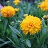 4月22日！ 今日は、いろんな植物〜♪