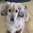 foo's blog