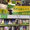 夏のフェアが始まったよ！本屋パトロール