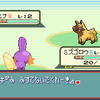 ＲＳ乱数　オダマキポチエナと御三家を同時色乱数