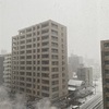 健康な体を作るには　雪