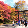 栃木県・古峯神社と日光輪王寺の紅葉を撮って