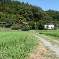 会津磐梯山は～🎵　供養の旅にわんこも行くのだ🌟　その２　お墓も家もみ～つけた☆柴犬・空海とはるこは！？