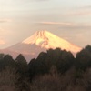 今朝の景色