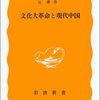 文化大革命と現代中国／安藤正士、大田勝洪、辻康吾 著