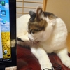 子供なら騙される、大人なら都合よく使うずるい言いまわし【カクコン１０より】