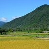 惜夏　湖西の風景その２