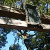 ★赤坂氷川神社(東京都港区)