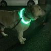 車にひかれそうになった😢ム〜の夜の散歩★当地区の流行りか⁉️光る首輪/LEDネックライト