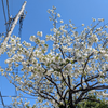 2025.04.04(Fri)
