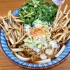 たまも（西新井）春菊天うどん＋ゴボウ天