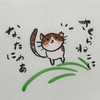 野良猫ちゃんの不妊手術