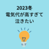 Looopでんきの市場連動型プラン「スマートタイムONE」で電気代が12,000円上がって1.8倍になった（泣）高すぎる······