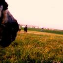 Gallop In Life