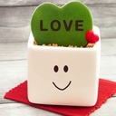 板橋のデートスポットと遊び場、恋活・婚活情報まとめ