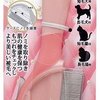 【30日目】【猫会計】【購入記録】衛生グッズ買い足し