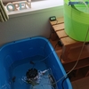 不具合予防のため冬でも水換えした