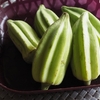 【珍しい野菜】おくらの「ダビデの星」は美味しいですよ～