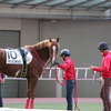 ＜11.28　阪神競馬場＞