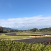 大隈広域公園キャンプ　②