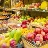 食糧安全保障とは？日本と世界の現実から考える未来のごはん