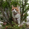 おやつメンバー