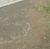 大雨の後に