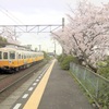 2017年桜の開花　琴平線岡本駅では