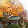 ベロキ神社の紅葉（秋田県秋田市）