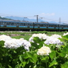211系3000番台N312編成出場試運転