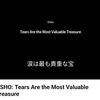 動画「OSHO: Tears Are the Most Valuable Treasure」(質疑応答)13:55