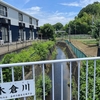 鶴見川支流の木倉川を歩く【町田】