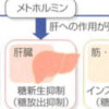 メトホルミン　まとめ　糖尿病 ビグアナイド