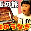 2月9日の動画