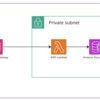 LLM の力を借りながら Lambda から DocumentDB を呼び出す実装を書いた