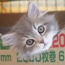 こぬまサイベリアン幼稚園日誌