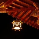 菊花夜話