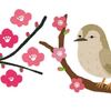 ２月～毎日寒いですね～✿