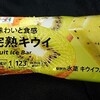 まるで完熟キウイ！カロリーや値段や味は？コンビニのセブンで買えるアイス商品