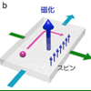 東大、限界を越える記録密度を可能とする磁気メモリ材料を発見