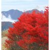 愛媛徳島2石鎚山