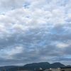 夏が来る　色音香りで　知らせてる