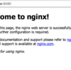 どうせならローカル開発でもnginx使おうじゃないか【MacOSX10.9】【nginx】