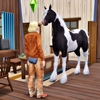 Horse Ranch（8）
